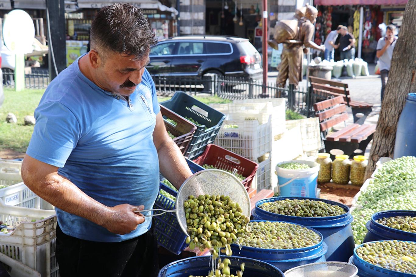 Gaziantep'te organik yeşil zeytin tezgâhlarda Gaziantep'te organik yeşil zeytin tezgâhlarda
